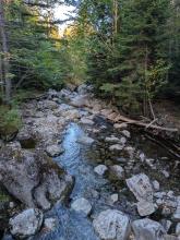 Phelps Brook