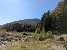 View from Marcy Dam